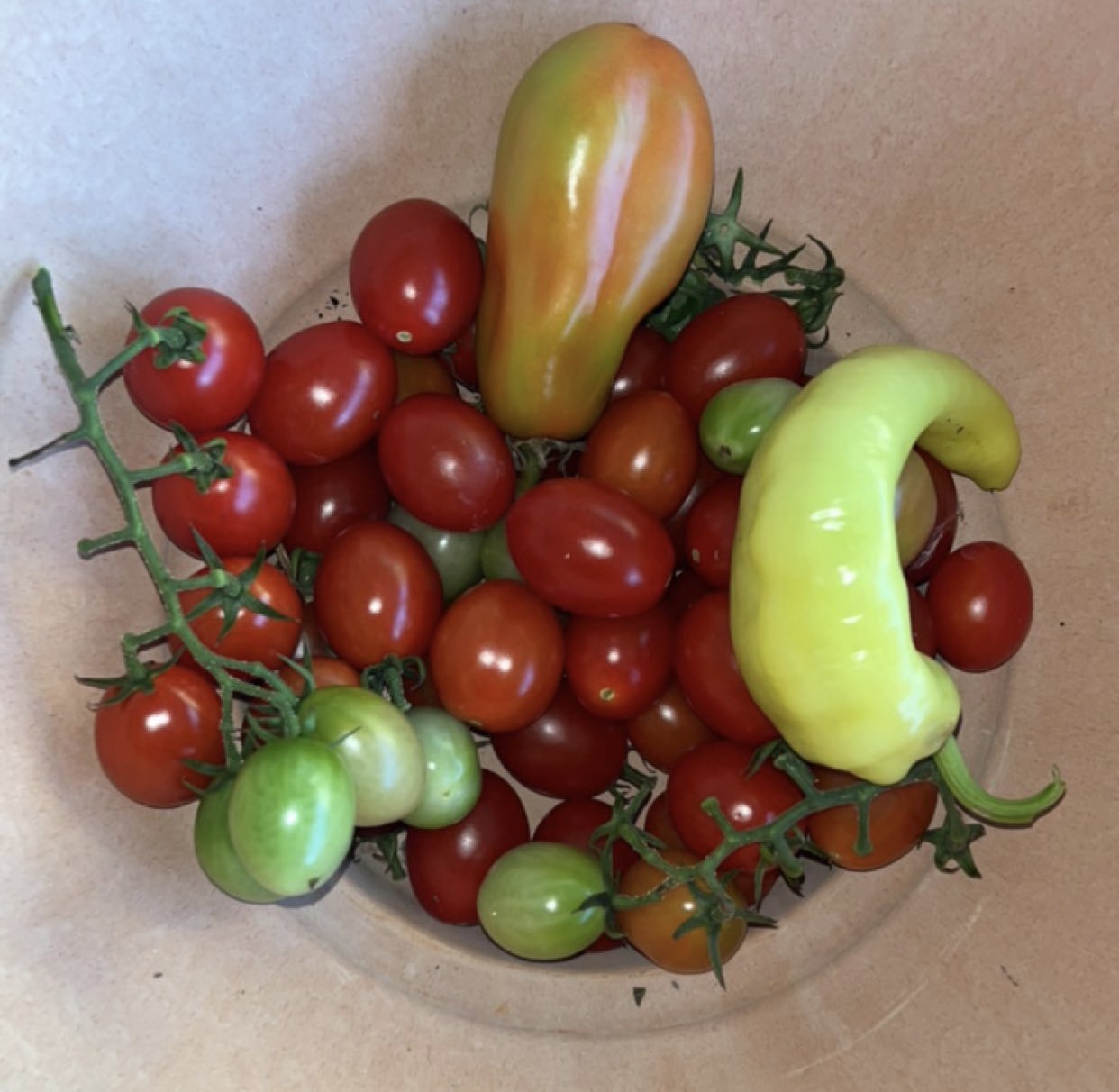 picture of cherry tomatoes, san marzano tomato, and banana pepper in a ceramic bowl